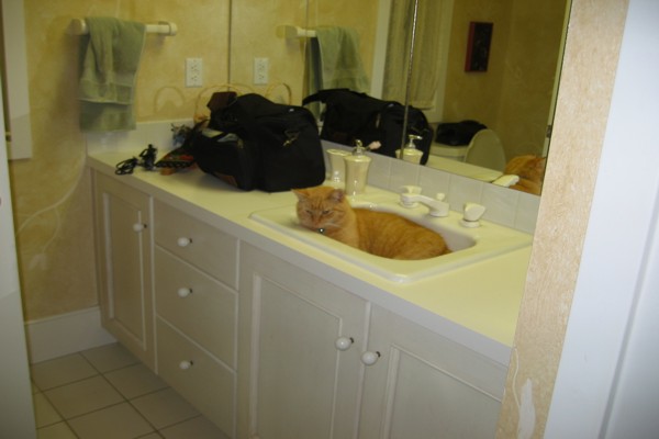 ../image/joan's reunion,nj,vermont 9,2005 050.jpg